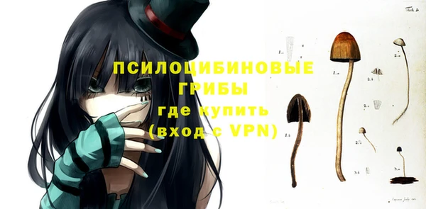 бошки Алексин