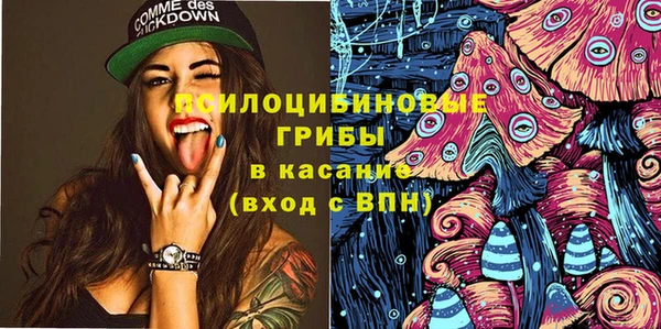 бошки Алексин
