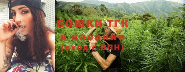 бошки Алексин