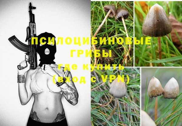 каннабис Алзамай