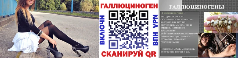 где найти   Бронницы  Псилоцибиновые грибы GOLDEN TEACHER 